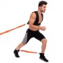 Повідець-амортизатор з рукоятками Record PHYSICAL ABILITY TRAINER FI-6557