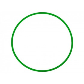 Обруч пластиковий Champion 65 см Зелений