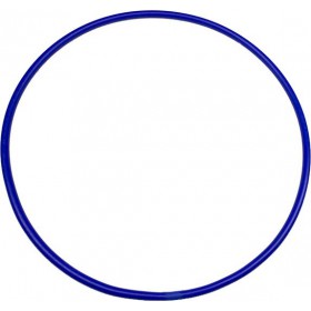 Обруч пластиковий Champion 65 см Фіолетовий