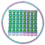 Обруч масажний хула хуп Hula Hoop MAGNETIC Technogym 6019 діаметр 110 см Pink-Blue-Green