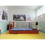 Боксерський Ринг клубний Boyko-Sport 6х6 м, код: bs0203101005-BK