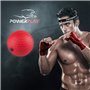 Файтбол набір 3 шт. PowerPlay 4320 Fight Ball Set