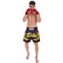 Шорти для тайського боксу та кікбоксингу BS0646 Fairtex XXL Чорний (37475028)