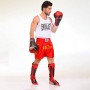 Шорти для тайського боксу та кікбоксингу Everlast ULI-9006 Без бренду XL Червоний (37429201)