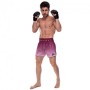 Шорти для тайського боксу та кікбоксингу FAIRTEX BS1904 BLACK/WINE L чорний-бордовий