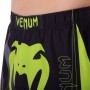 Шорти для тайського боксу та кікбоксингу Venum Giant DK02 розмір 2XL (52-54) Black-Green