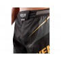 Шорти для MMA VENUM Athletics Fightshorts L чорний/сірий/золотий (5275)