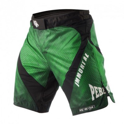 Шорти Peresvit Immortal Fightshorts Green Lantern (401001-478-L)