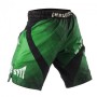 Шорти Peresvit Immortal Fightshorts Green Lantern (401001-478-L)