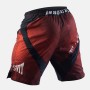 Шорти Peresvit Immortal 2.0 Fightshorts Red Burn (501215-318-M)