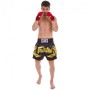 Шорти для тайського боксу та кікбоксингу FAIRTEX BS0646 XXL чорний