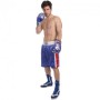 Труси боксерські Everlast 9014-B розмір XL (50-52) Blue-Red