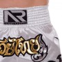 Шорти для тайського боксу та кікбоксингу Another Boxing 2342 розмір XL (50-52) White-Gold-Black