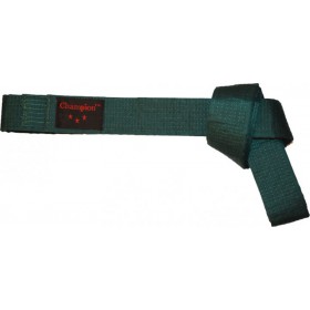 Пояс для кімоно Champion Зелений 280 см (A00037)