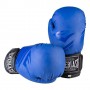 Боксерські рукавички EVERLAST DX матові 10oz EV3597/10B