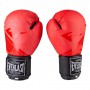 Боксерські рукавички EVERLAST DX матові 10oz EV3597/10R