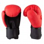 Боксерські рукавички EVERLAST DX матові 10oz EV3597/10R