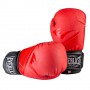 Боксерські рукавички EVERLAST DX матові 10oz EV3597/10R