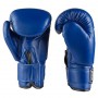 Рукавички боксерські на липучці Everlast EVDX308 (р-р 10oz, синій)