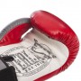 Рукавички боксерські EV-009B Everlast 10oz Червоний (37409059)