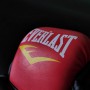 Рукавички для ММА Еверласт для єдиноборств професійні гібридні EVERLAST Чорний-червоний АН-4612-BKR розмір M