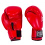 Боксерські рукавички Everlast DX-380 6oz червоні EVDX380