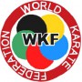 Рукавички для карате із захистом великого пальця з ліцензією WKF SMAI червоні L