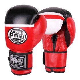 Тренувальні боксерські рукавички PRO BOXING Starter Gloves червоно-чорні 12 Oz