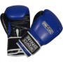 Тренувальні боксерські рукавички RING TO CAGE Gym Training Gloves синій/чорний 16 Oz