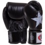 Рукавички боксерські BGV1N Fairtex 12oz Чорний (37475016)