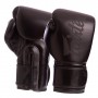 Рукавички боксерські BGV14SB Fairtex 12oz Чорний (37475012)