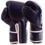 Рукавички боксерські BGV14 Fairtex 10oz Синій (37475019)