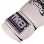 Рукавички боксерські шкіряні Ultimate Air TKBGAV Top King Boxing 10oz Білий (37551033)