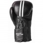 Боксерские перчатки PowerPlay 3016 16oz Black/White (PP_3016_16oz_Black/White)