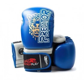 Боксерські рукавички PowerPlay 16 унцій Синій 3008 (MR59482)