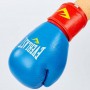 Рукавички боксерські Everlast MA-6750 12oz Синьо-червоний (37429172)