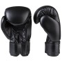 Рукавички боксерські на липучці Everlast EVDX308 (р-р 8oz, чорний)