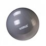 Фітбол LiveUp Ø 75см Gym Ball Сірий ( LS3221-75g )