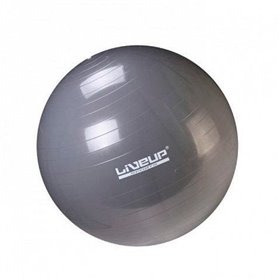 Фітбол LiveUp Ø 75см Gym Ball Сірий ( LS3221-75g )