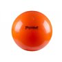 М'яч 120 см Physioball Standard помаранчевий Ledragomma L 9