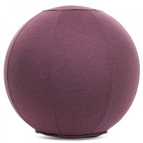 М'яч для фітнесу FI-1466 Фіолетовий (MR02314)
