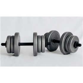 Гантелі 2х10кг GREY