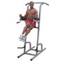 Поручні для підтягувань Power Tower BODY-SOLID GKR82
