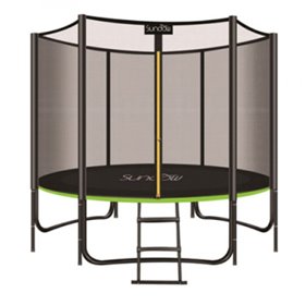 Батут із сіткою MS-2920-2 244х150 см