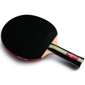 Ракетка DHS R3003