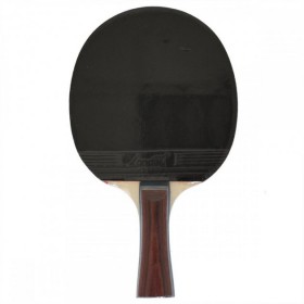 Ракетка для настільного тенісу Landers 4 Star в чохлі