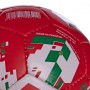 М'яч футбольний Profi Grippy Action №5 Liverpool FC 2359 Red-Green