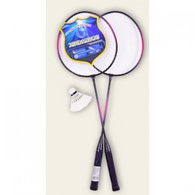 Набір для бадмінтону BK Toys 2 ракетки + воланчик + чохол (W100019)