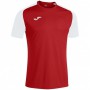 Футболка Joma ACADEMY IV червоно-білий XL 101968.602 XL