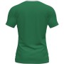 Футболка Joma FLAG II зелено-біла 2XL-3XL 101465.452